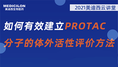 【云课堂】：怎样有用建设PROTAC分子的体外活性评价要领？