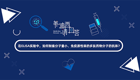 在ELISA实验，怎样制备分子量小、免疫原性弱的多肽药物分子的抗体？