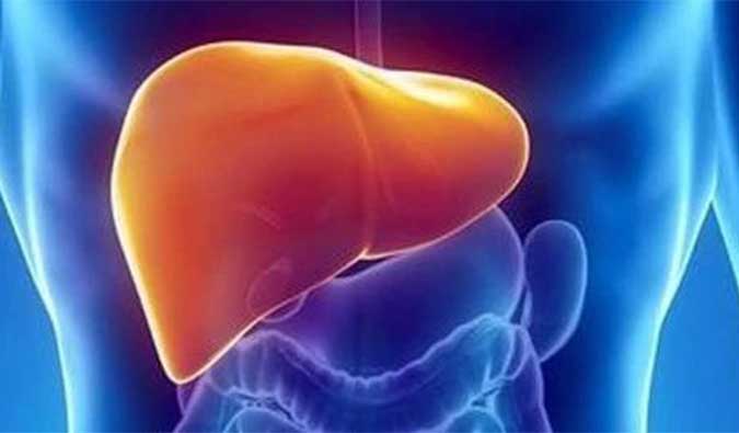 【南宫28助力】NASH领域新希望！海普丁HPD001即将在美启动临床试验