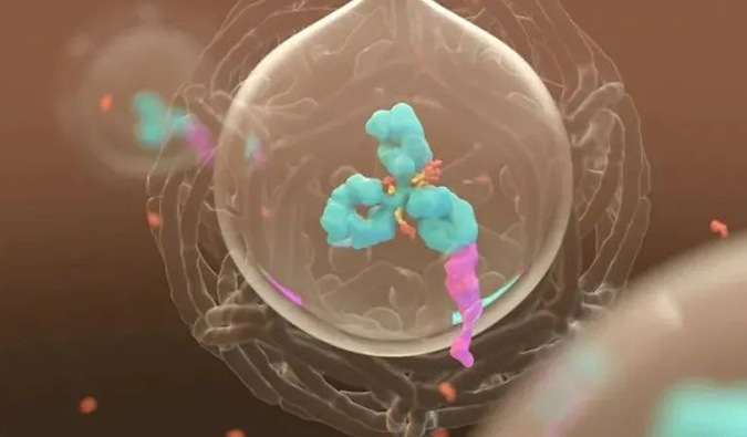 美研 | 南宫28带您相识ADC玄妙之处