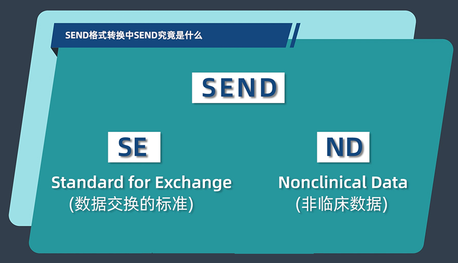 SEND名堂转换中的SEND事实是什么？