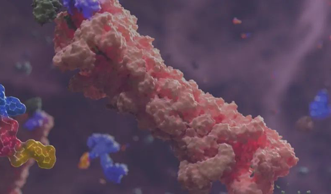 全流程DMPK效劳鼎力大举相助PROTAC药物研发