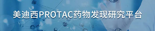 南宫28PROTAC药物发明研究平台.png