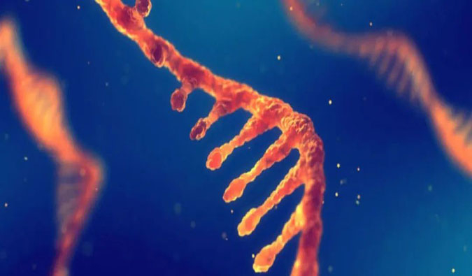 赋能核酸药物疗法，迎接新药研发第三次浪潮