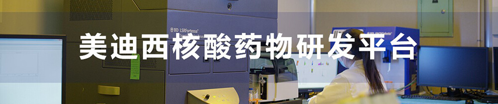 南宫28核酸药物研发平台-1.jpg