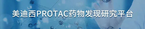 南宫28protac药物发明研究平台.jpg