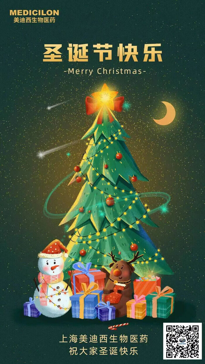 南宫28祝您圣诞节快乐.jpg