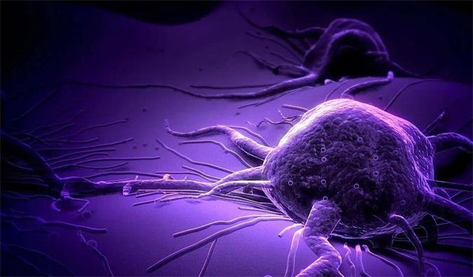 南宫28助力轩竹生物研发的完全敲除岩藻糖的双抗ADC药物KM501获批临床