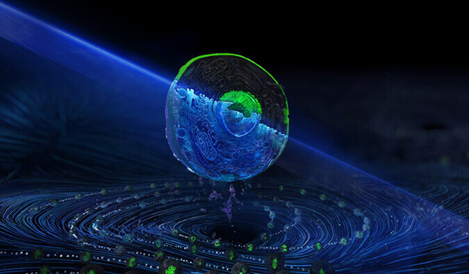 南宫28流式细胞分选效劳平台