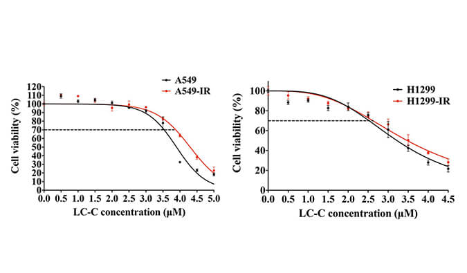 放射疗法用作肺癌的主要治疗要领，本研究中建设抗电离辐射肺癌细胞系的放射治疗通过南宫28举行