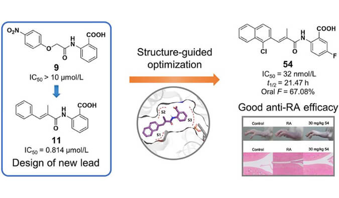 设计合成一系列DHODH抑制剂作为潜在的类风湿性枢纽炎治疗药物，本研究中PK实验通过南宫28举行