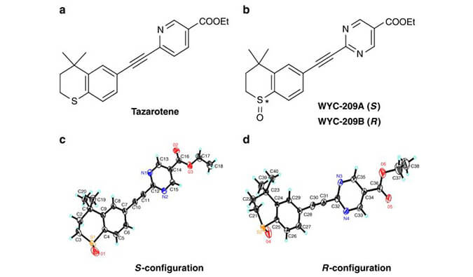 WYC-209可抑制恶性小鼠玄色素瘤肿瘤再生细胞增殖，本研究中SPR通过南宫28使用Biacore 8K举行