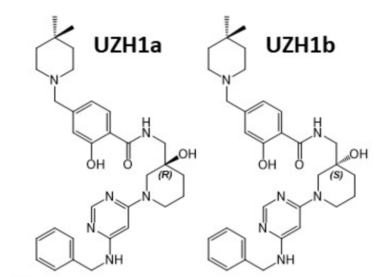 研究职员报告了一种具有细胞渗透性的选择性METTL3纳摩尔抑制剂UZH1a，作者谢谢南宫28合成了UZH1a和UZH1b