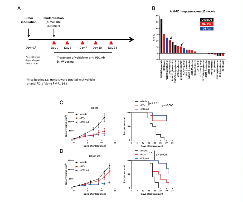 免疫检查点阻断疗法改变了癌症治疗的范式，此研究中通过南宫28在23 个同源肿瘤模子中举行了抗PD-1抗体的体内研究