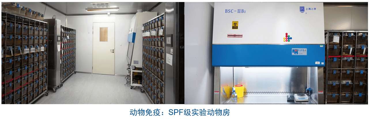 南宫28杂交瘤手艺平台装备-动物免疫SPF级实验动物房