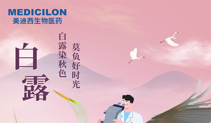 白露 | 白露染秋色，莫负好时光