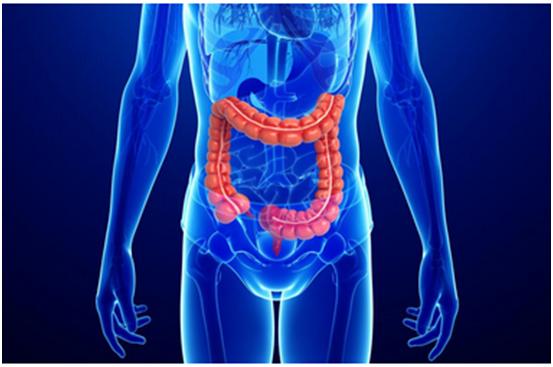 南宫28一站式助力 | 宝太生物首其中美双报立异药获批