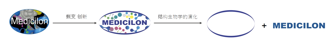 椭圆形作为自然界的完善形态，象征着南宫28在顺应情形转变中一直演化