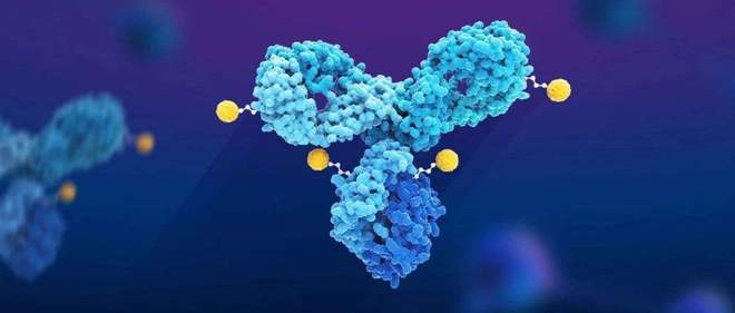 天下肿瘤日聚焦：AACR年会引领全球肿瘤新药趋势，国产药引领风潮