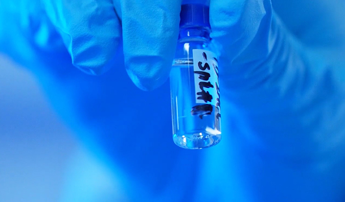 GLP-1“竞速赛”何以夺魁？