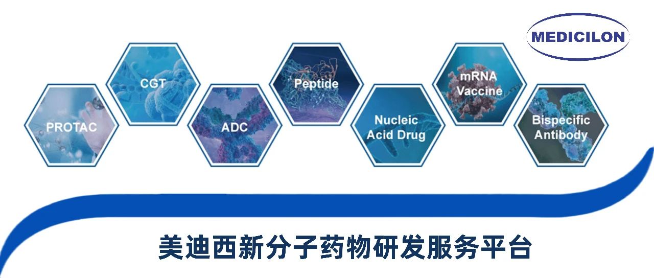 南宫28新分子类型药物研发效劳平台