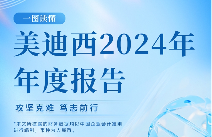 南宫282024年年度报告