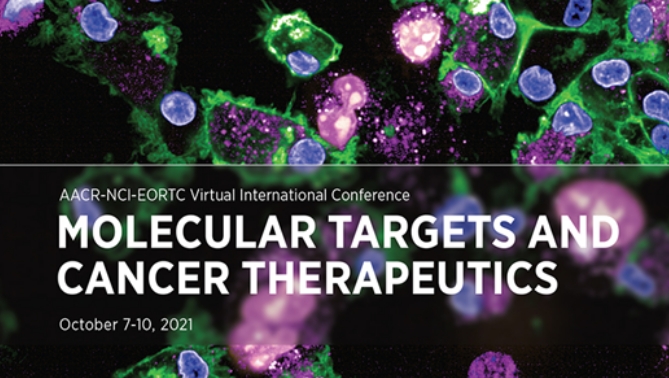 通过联合治疗提高免疫疗法疗效，本研究中临床前体内药效研究通过南宫28举行