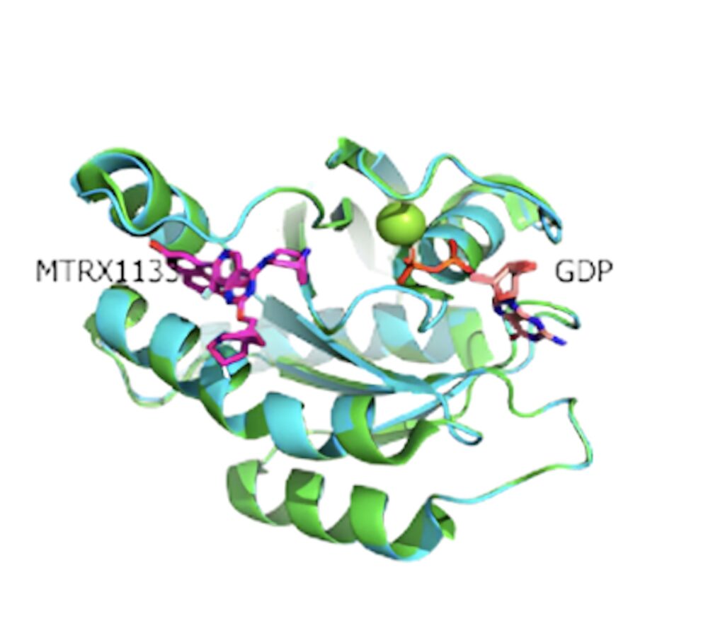 KRAS G12D -MRTX1133（靶标抑制剂）共结晶.jpeg